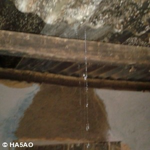 IMG 20170103 WA0002