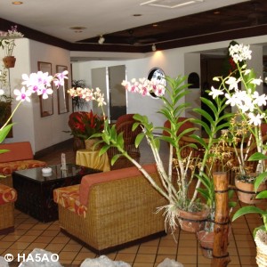 palau pacific resort 28 20090601 1626902581