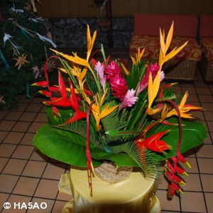 palau pacific resort 45 20090601 1176569122