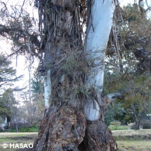 qth 16 20090821 1421979428