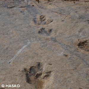 roma valley lesotho 13 20090821 1059483209