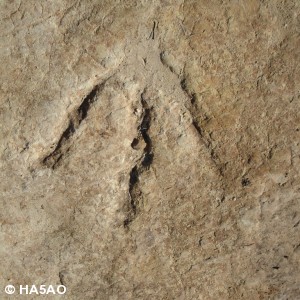 roma valley lesotho 19 20090821 2012505641