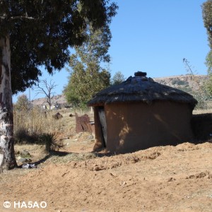 village and villagers 15 20090821 1572845380