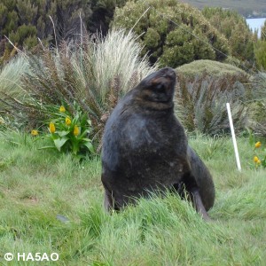 zl9hr 47 20121228 1410748740