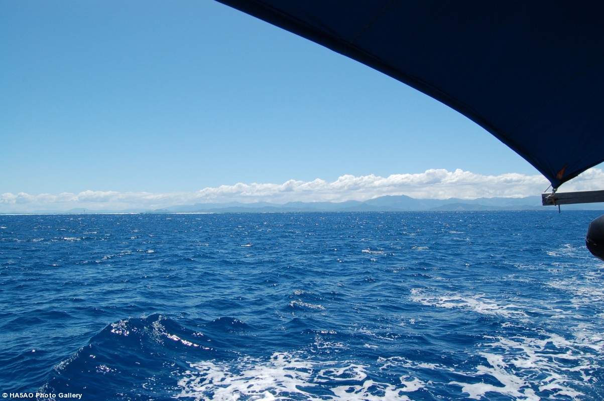 Last images of New Caledonia until we return from Chesterfield