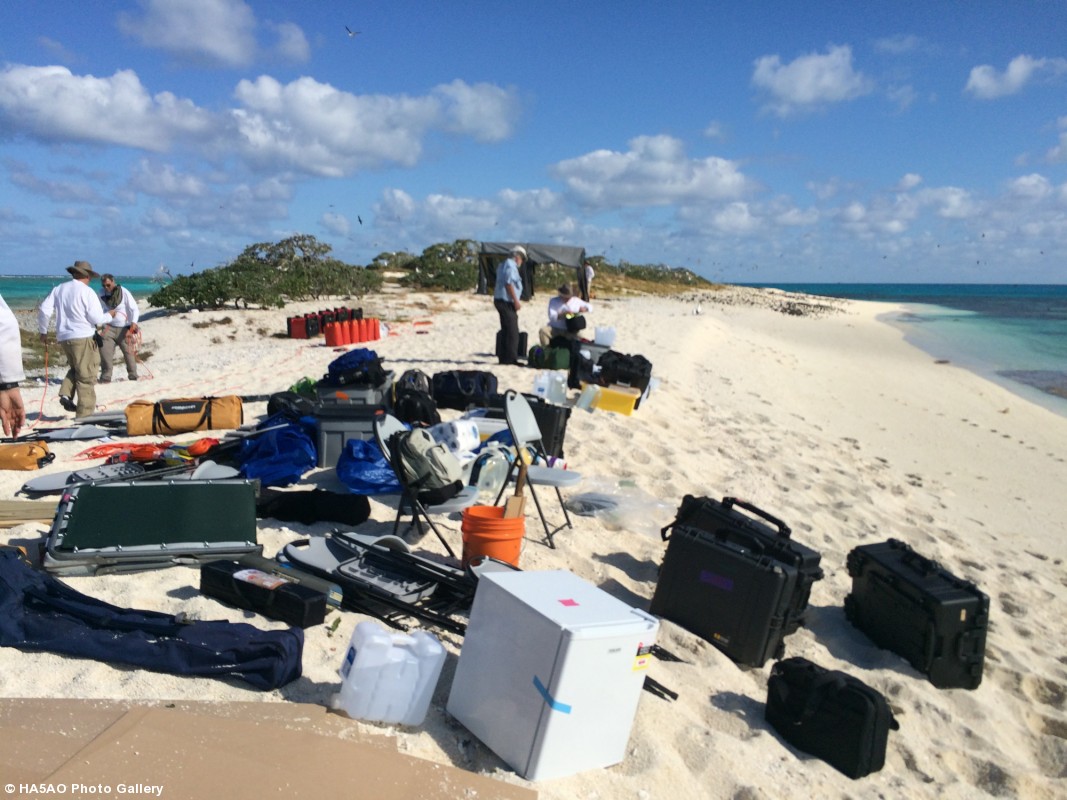Looking towards the South just after setting up the CW tent