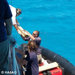 Ray loads wood stakes   1