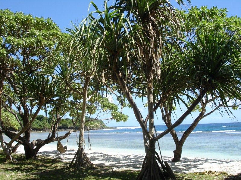 News from Vanuatu 3.